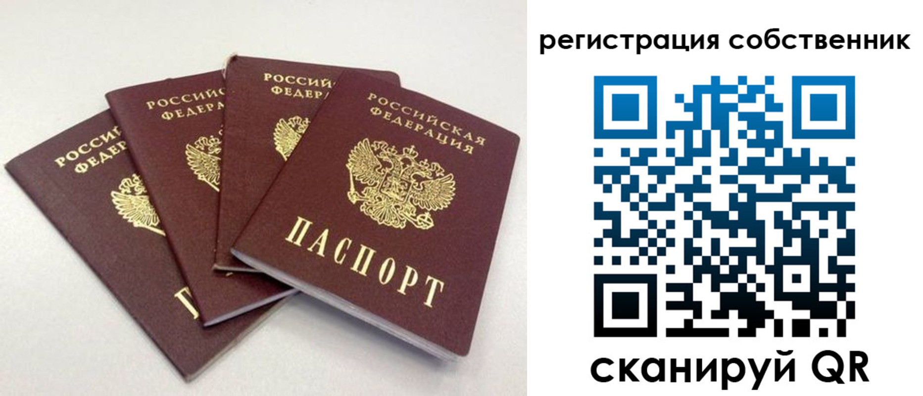 прописка для школы в Венёве
